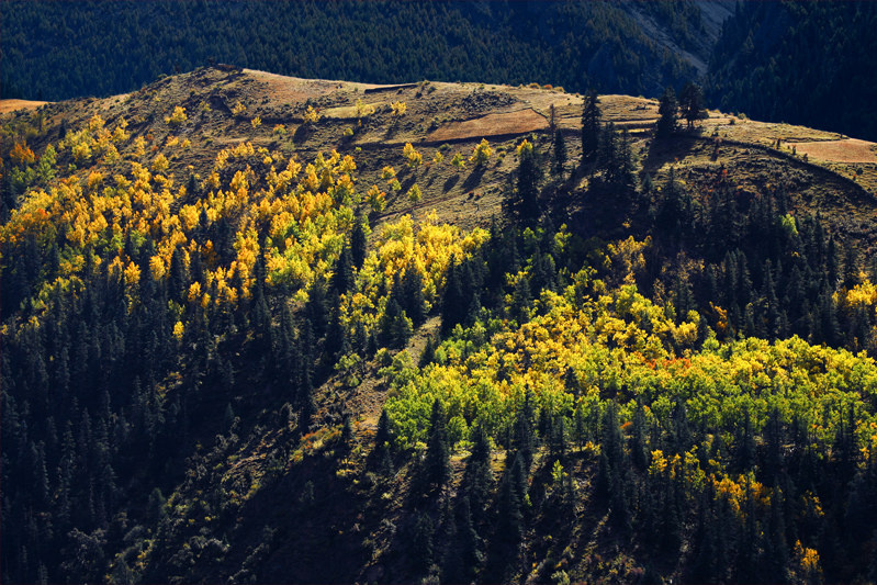 山顶上 - yanglin625