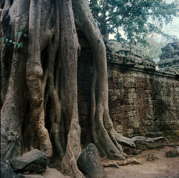pro169_Cambodia04
