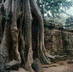 pro169_Cambodia04