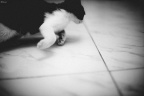_7003535