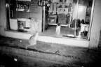 夜猫