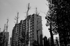 0051017_2