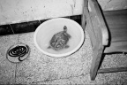 0201019_4