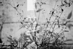 0581021_1
