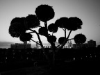 _1090651