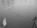 _1090412