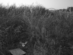 _1100145