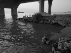 _1100246