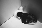 _1100590