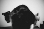 _7008408