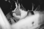 _7008676