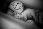 _7008741