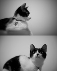 _7007171