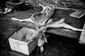 20111230-论仰头睡觉的危害。。。