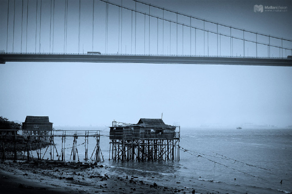 500201_1275525751