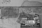 NIC_1473