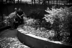NIC_1515