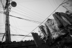 NIC_1570