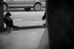 NIC_0602