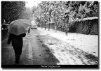 我在武汉的最后一场雪
