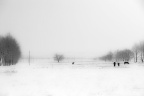 _DSC0742