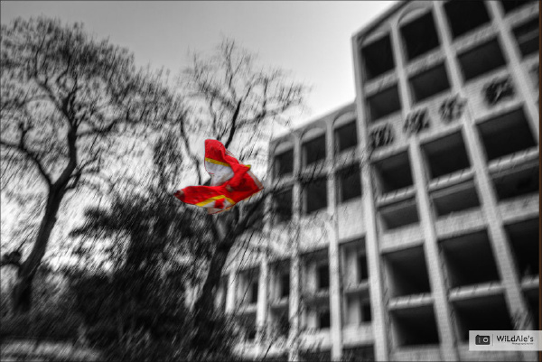 Dream Collapse 7.