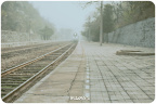 DSC_9366FB