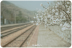 DSC_9384FB