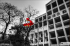 Dream Collapse 7.