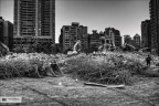 Dream Collapse 28.