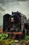 Railways_WiLdAle