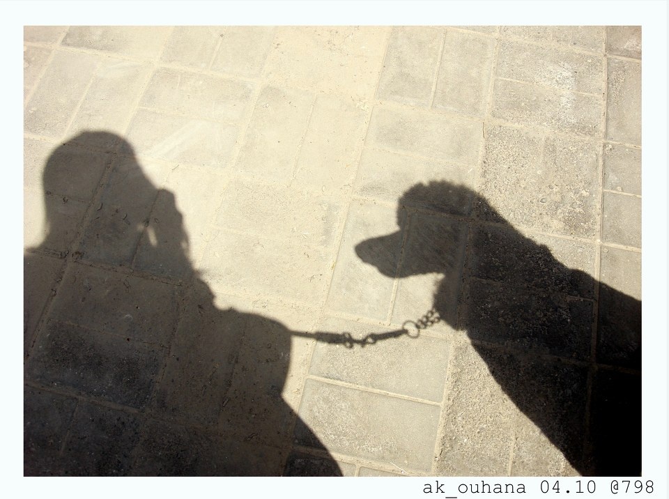 一人一狗+-+coffee+-+ak