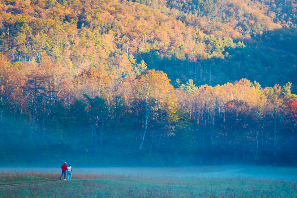 晨雾中漫步 - 国家公园, 大雾山, 雾, 田纳西 - haiwangcat - 图虫热点 - 图虫摄影网