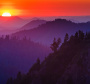 Sequoia National Park