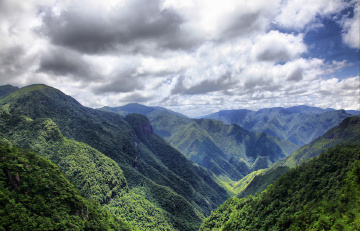 浙江 龙泉