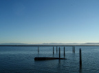 Bay Area