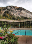 Snowbird