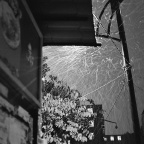 成都，那一夜飞雪