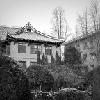 雪后成都的清晨（1）