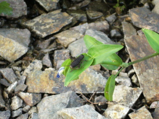 P1070768