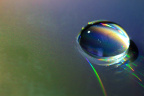 _MG_4539 (2)