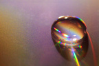 _MG_4536 (2)