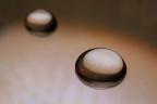 _MG_4544 (2)