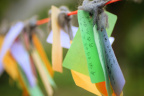 _MG_4563 (2)