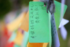 _MG_4564 (2)