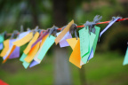 _MG_4565 (2)