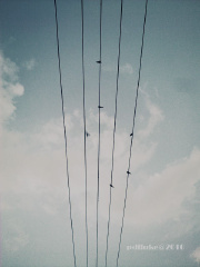 201005302965