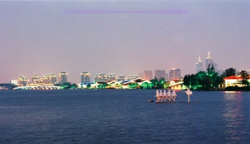 金鸡湖 夜景