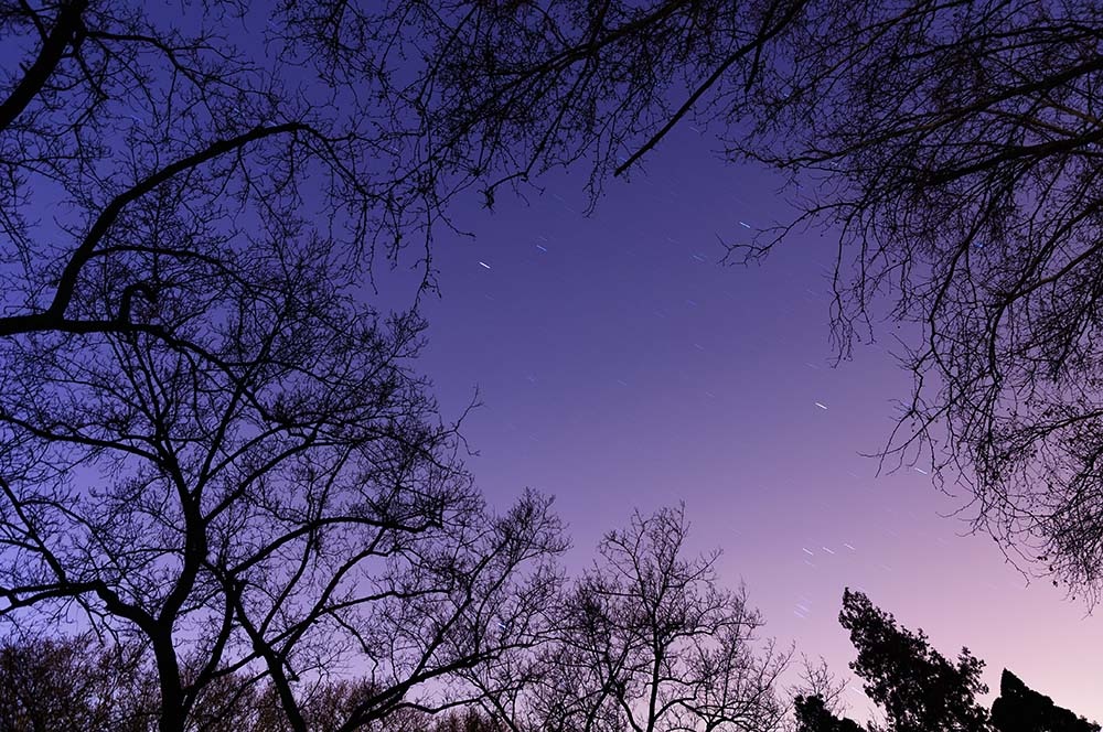 星,月,夜