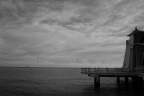 MX7_9836